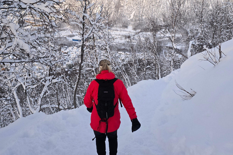 Tromsø: Fjellheisen Local Guided Hike