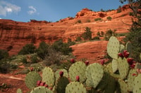 De Phoenix, Excursión en grupo pequeño de Sedona de un día completo - Hizvo