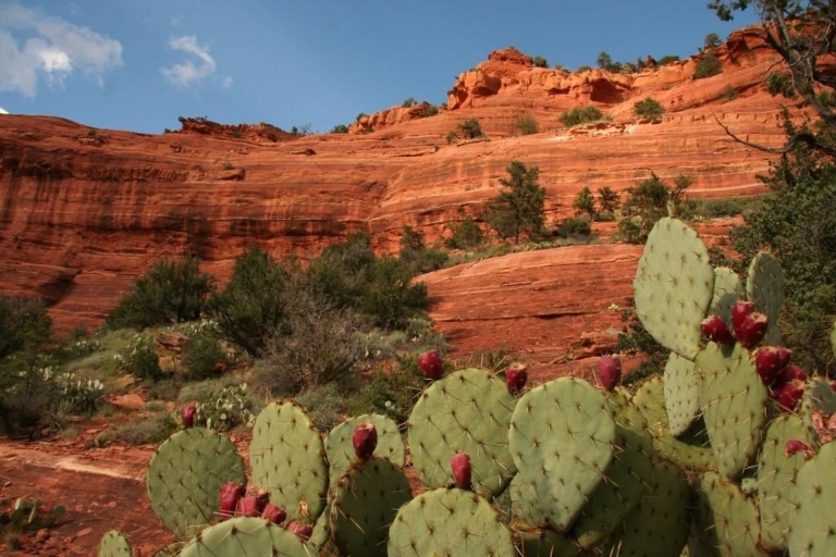 From Phoenix: Full-Day Sedona Small-Group Tour Private Tour