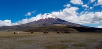 Cotopaxi und Baños Tour, Tickets & Mittagessen - Housity