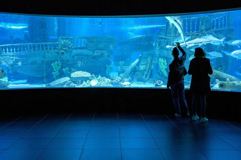 Antalya: Aquarium Tour with Hotel Pickup & Combo Options Antalya Aquarium & Wax Museum Entry Ticket
