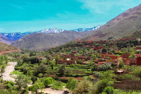 From Marrakech: Setti Fatma & Ourika Valley Tour with Lunch