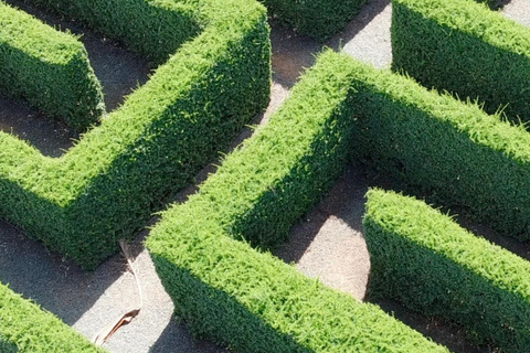 La Romana Half-Day Small Group Tour: Cave, Maze & Culture