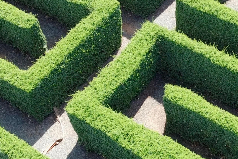 La Romana Half-Day Small Group Tour: Cave, Maze & Culture