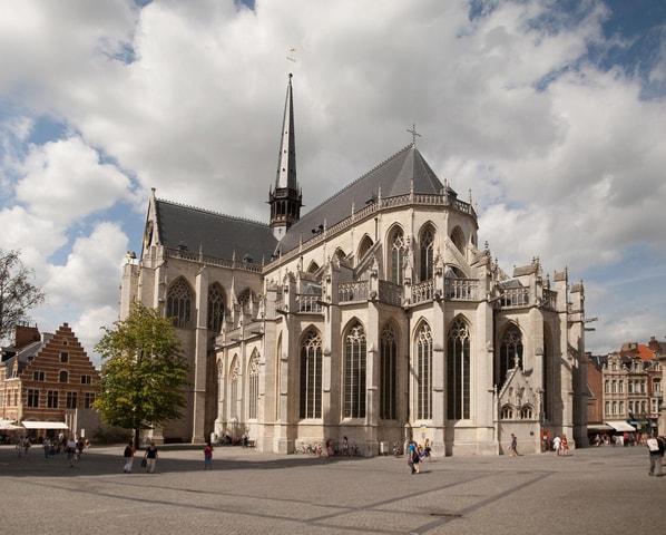 Leuven: Guided Tour with University and Town Hall