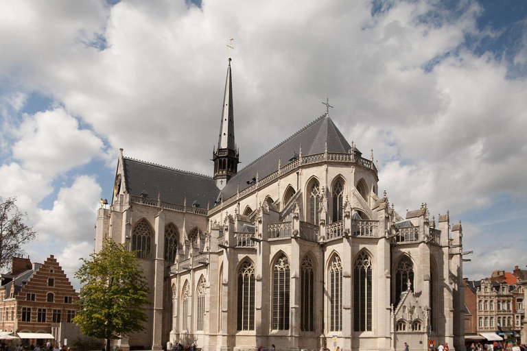 Leuven: Guided Tour with University and Town Hall