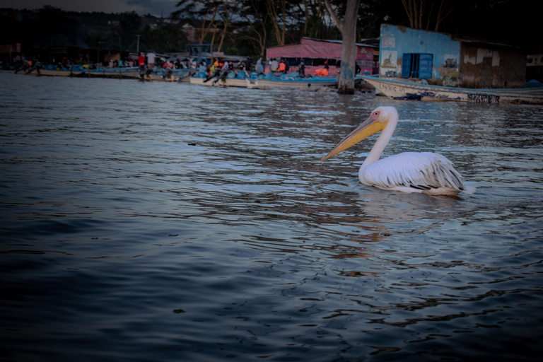 From Nairobi-Lake Naivasha: Boat Ride & Quad Bike Day Trip