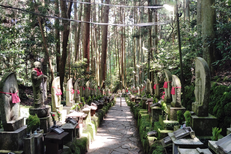 Nara: Führung durch den Hozan-ji-Tempel mit Seilbahnfahrt