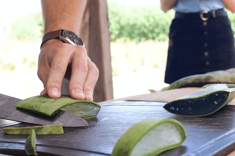 IBIZA : PRODUITS FABRIQUÉS À IBIZA (visite culinaire)