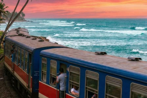 Colombo: Galle Day Tour Coastal Train Ride with Female Guide