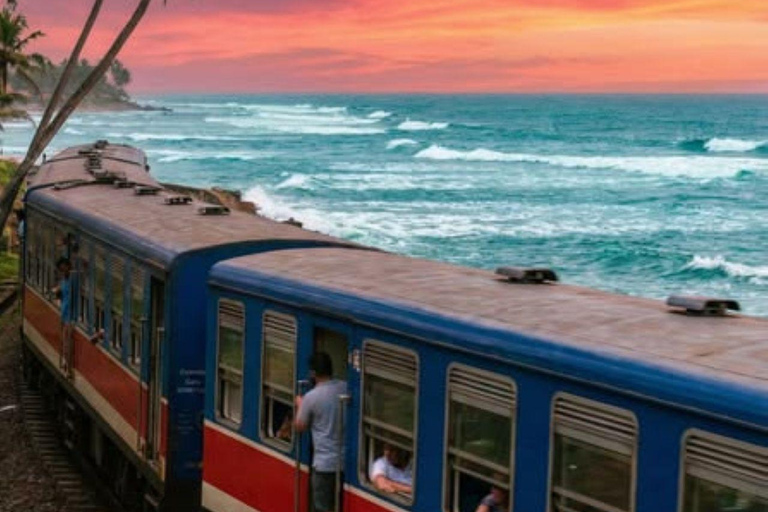 Colombo: Galle Day Tour Coastal Train Ride with Female Guide