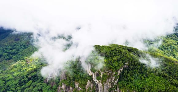 From Mahe: Guided Nature Trail Walk to Morne Blanc