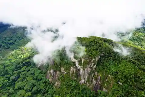 Au départ de Mahé : Randonnée guidée sur le sentier de la nature au Morne Blanc