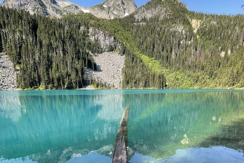 Tagestour Garibaldi Park/Joffre Lakes/ Wandern