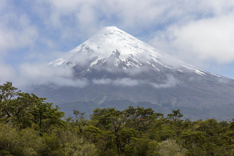 Puerto Varas: Shared Sightseeing Tour - Petrohue, Todos Los Santos Lake, and Frutillar Puerto Varas: Shared Sightseeing Tour - Petrohué, Todos Los Santos Lake, and Frutillar