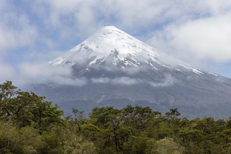 Puerto Varas: Shared Sightseeing Tour - Petrohue, Todos Los Santos Lake, and Frutillar Puerto Varas: Shared Sightseeing Tour - Petrohué, Todos Los Santos Lake, and Frutillar