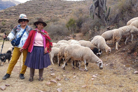 EXPERIENTIAL TOURISM AND FULL DAY MEDICINAL PLANTS CLASSES