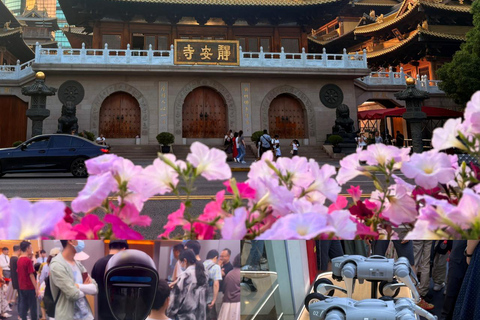 Shanghai: Jing'an Temple & Tech Robotics half-day Tour Shanghai: Jing'an Temple & Robotics Guided Tour