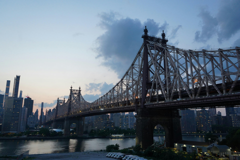 NYC Borough Tour Explore Manhattan, Bronx, Queens & Brooklyn Private group 1-5