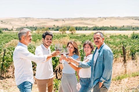 From Barcelona: The Best of Spain in 10 Days - All-Inclusive With Accommodation - Double room