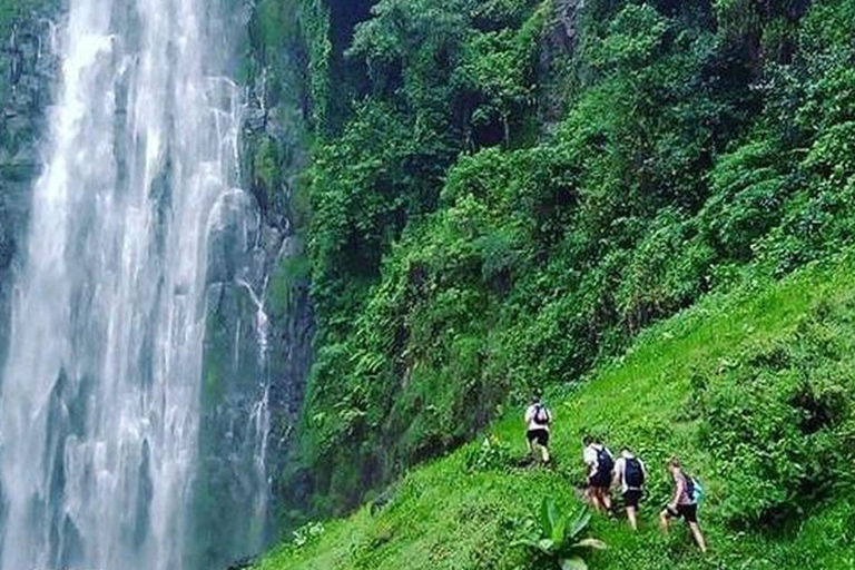 Arusha: Viagem de 1 dia para a Cachoeira do Monte Meru com almoço