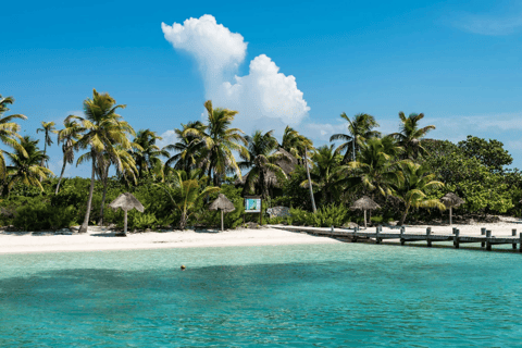 Cancun: Wycieczka snorkelingowa na wyspę Contoy i wizyta na Isla Mujeres