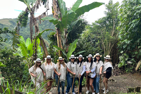 Coffee and Exotic Fruit Tour from Medellín with Lunch Coffee and Exotic Fruit Tour from Medellín with Lunch.