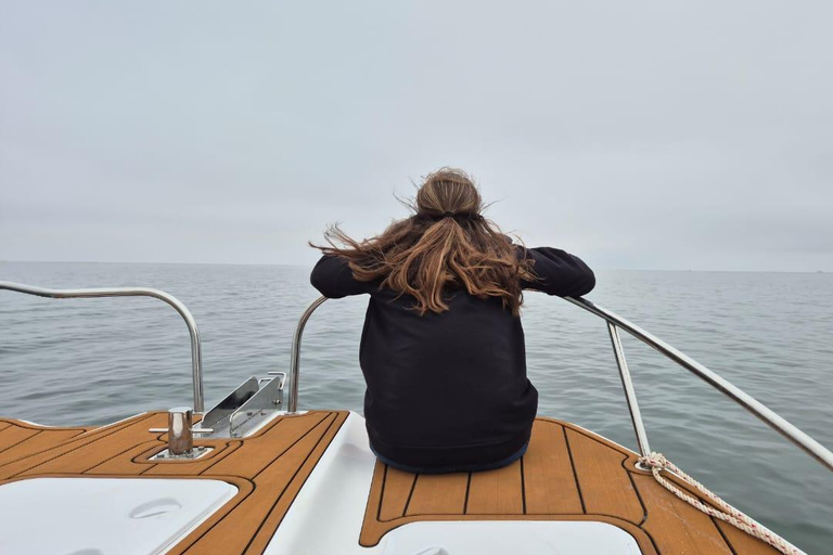 Walvis Bay: Intimate Marine Wildlife Cruise