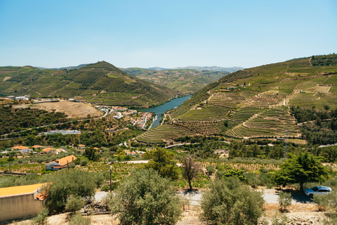 Douro-dalen: Vinresa med lunch, provsmakningar och flodkryssning