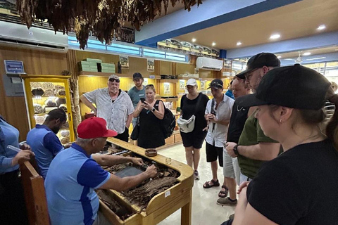 Puerto Plata: Monkey Jungle & City Tour Experience