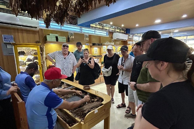 Puerto Plata: Monkey Jungle & City Tour Experience