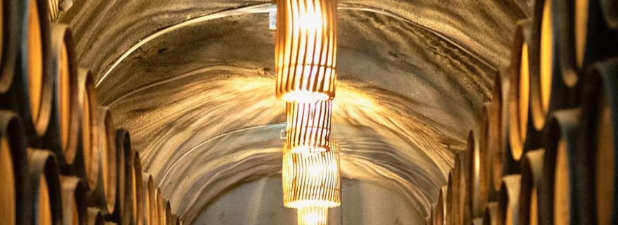 Vallée du Douro : vignobles à Quinta do Tedo et dégustations