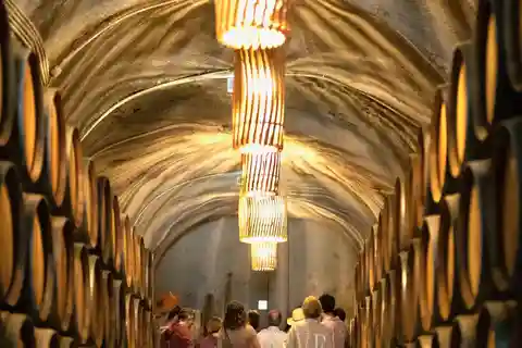 Douro Valley: Winery Tour at Quinta do Tedo and Tastings