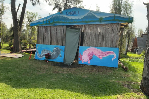 Xochimilco: Sunrise Kayaking, Breakfast and Axolotls Xochimilco: Sunrise Kayaking, Breakfast, and Axolotls