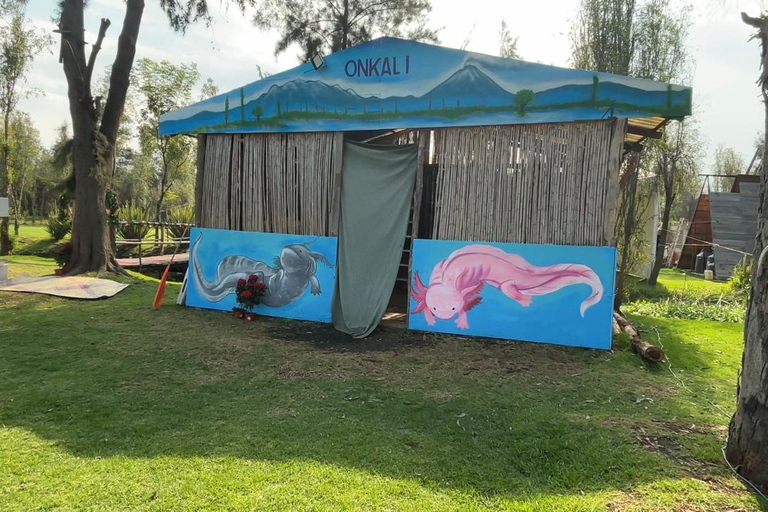 Xochimilco: Sunrise Kayaking, Breakfast and Axolotls Xochimilco: Sunrise Kayaking, Breakfast, and Axolotls