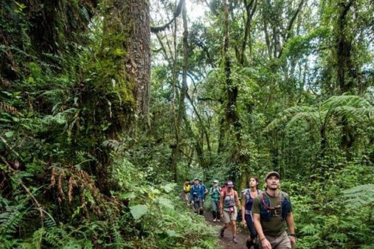 Kilimanjaro: 6-Day Marangu Route Climbing Tour