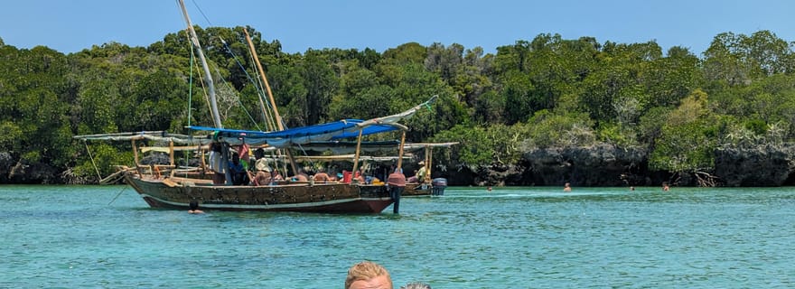 Zanzibar : Safari bleu d'une journée avec plongée en apnée et barbecue