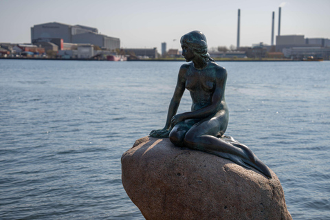 Croisière sur les canaux de Copenhague et visite à pied de la ville et de Nyhavn3 heures : Visite de la vieille ville et croisière en bateau