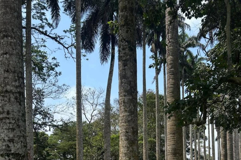 From Accra: Boti Falls, Cocoa Farm, & Aburi Gardens Day Trip