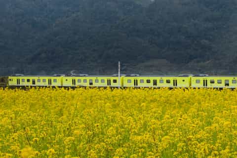 花蓮：2026年最新のおすすめ観光スポット＆見どころ | GetYourGuide