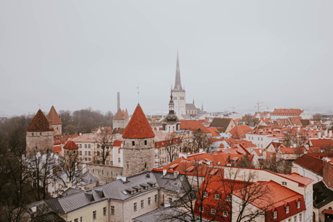 Helsinki: Ferry Journey Between Helsinki and Tallinn One-Way Ferry Journey from Helsinki to Tallinn