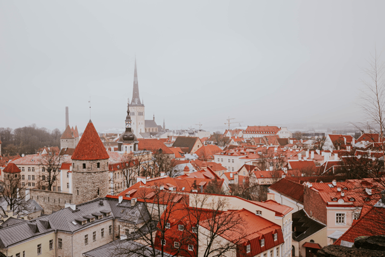 Helsinki: Ferry Journey Between Helsinki and Tallinn One-Way Ferry Journey from Helsinki to Tallinn