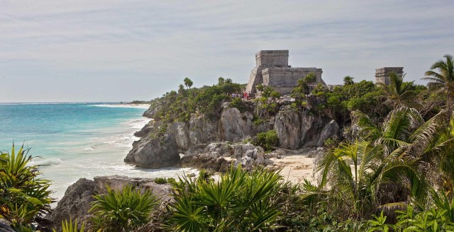 Tulum & Turtle Express (Included Transportation)