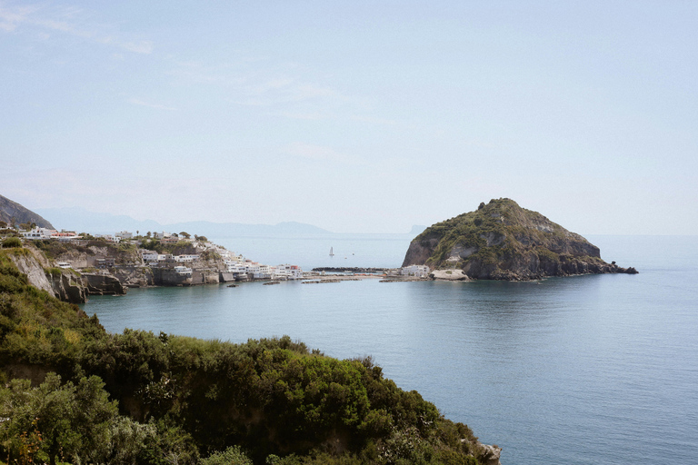 Procida & Ischia: a full-day experience with cruises from Naples