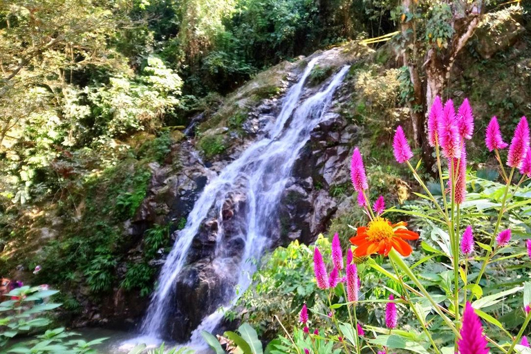 SANTA MARTA: Minca Ecological Capital/Taganga & Playa Grande