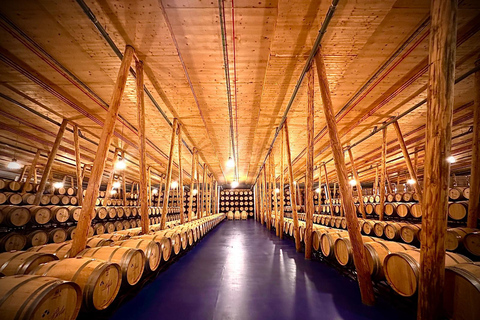 Ribera del Duero Sightseeing Tour: From Madrid to the Ribera del Duero - lunch included RIBERA DEL DUERO WITH FULL LUNCH INCLUDED
