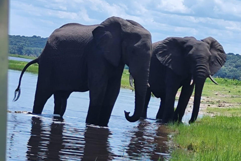 Livingstone: Zambezi River Captain's Cabin Cruise