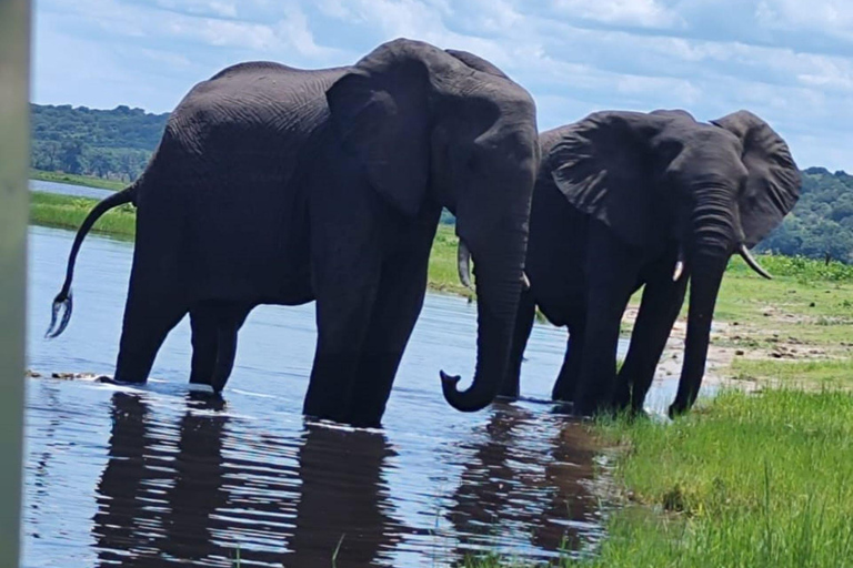 Livingstone: Zambezi River Captain's Cabin Cruise