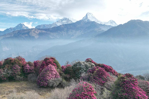 Pokhara: 7 dias de acampamento base do Annapurna via PoonHill e fontes termaisPacote completo de 7 dias para o ABC Trek Ghorepani Poon Hill Hot Spring