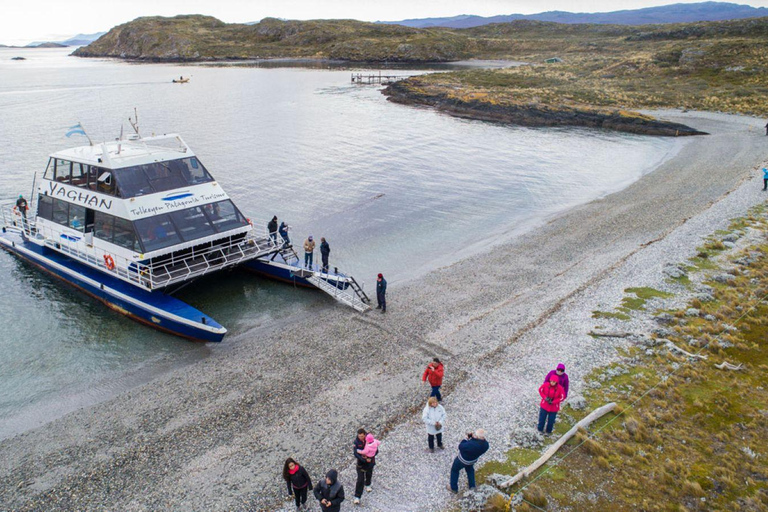 Ushuaia: Navigation through Beagle Channel & Bridges Islands
